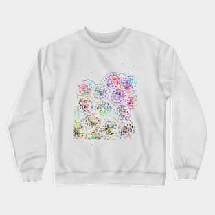 Cell Mitochondrion Crewneck Sweatshirt